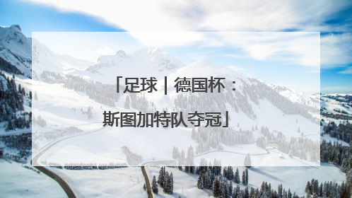 足球｜德国杯：斯图加特队夺冠