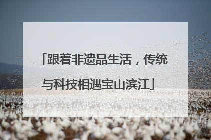 跟着非遗品生活，传统与科技相遇宝山滨江
