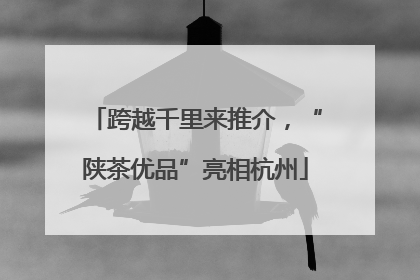 跨越千里来推介，“陕茶优品”亮相杭州