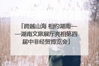 跨越山海 相约湖南——湖南文旅展厅亮相第四届中非经贸博览会