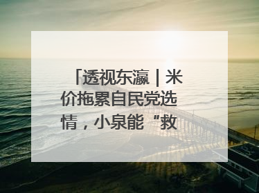 透视东瀛｜米价拖累自民党选情，小泉能“救”石破茂吗