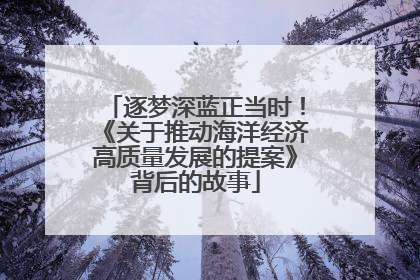 逐梦深蓝正当时！《关于推动海洋经济高质量发展的提案》背后的故事
