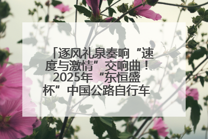 逐风礼泉奏响“速度与激情”交响曲！2025年“东恒盛杯”中国公路自行车联赛第五站（陕西·礼泉站）正式开赛