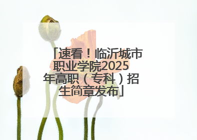 速看！临沂城市职业学院2025年高职（专科）招生简章发布