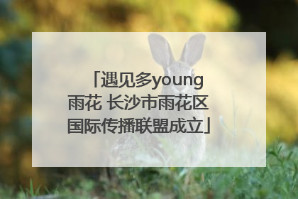 遇见多young雨花 长沙市雨花区国际传播联盟成立