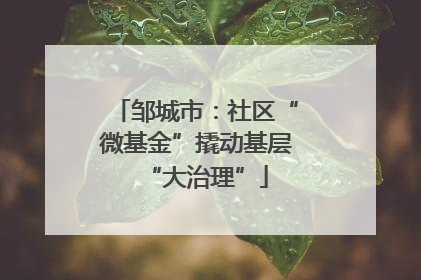 邹城市：社区“微基金”撬动基层“大治理”