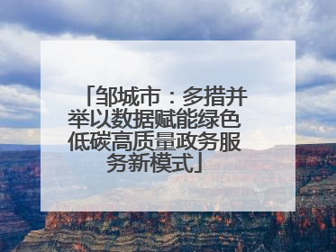 邹城市：多措并举以数据赋能绿色低碳高质量政务服务新模式