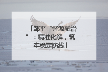 邹平“警源融治”：精准化解，筑牢稳定防线