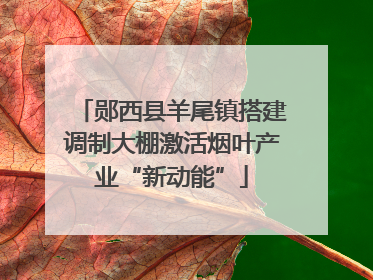 郧西县羊尾镇搭建调制大棚激活烟叶产业“新动能”