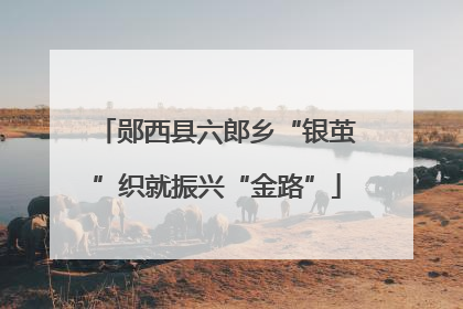 郧西县六郎乡“银茧”织就振兴“金路”