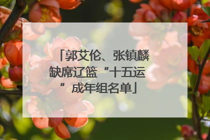郭艾伦、张镇麟缺席辽篮“十五运”成年组名单