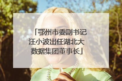 鄂州市委副书记汪小波出任湖北大数据集团董事长