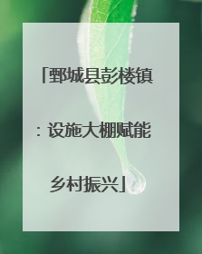 鄄城县彭楼镇：设施大棚赋能乡村振兴
