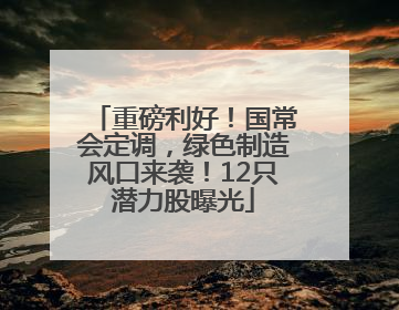 重磅利好！国常会定调，绿色制造风口来袭！12只潜力股曝光