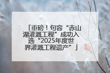 重磅！句容“赤山湖灌溉工程”成功入选“2025年度世界灌溉工程遗产”