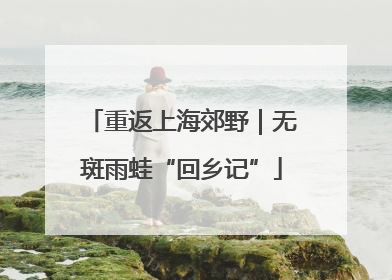 重返上海郊野｜无斑雨蛙“回乡记”