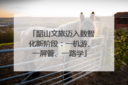 韶山文旅迈入数智化新阶段：一机游、一屏管、一路学