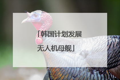 韩国计划发展无人机母舰