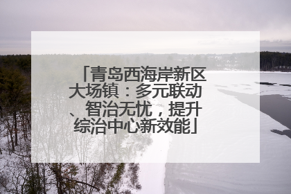 青岛西海岸新区大场镇：多元联动、智治无忧，提升综治中心新效能