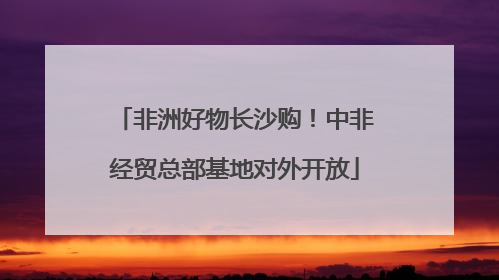非洲好物长沙购！中非经贸总部基地对外开放