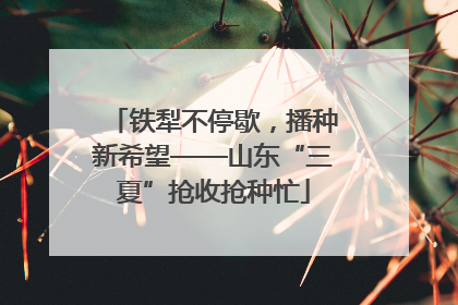 铁犁不停歇，播种新希望——山东“三夏”抢收抢种忙