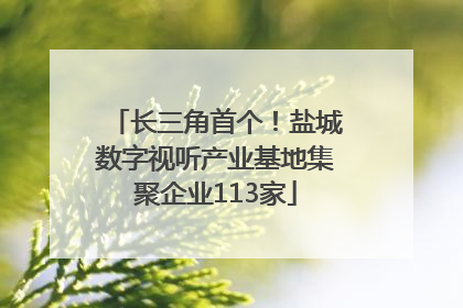 长三角首个！盐城数字视听产业基地集聚企业113家