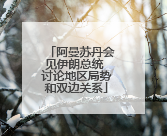 阿曼苏丹会见伊朗总统 讨论地区局势和双边关系