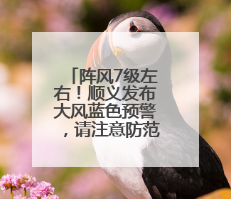 阵风7级左右！顺义发布大风蓝色预警，请注意防范→