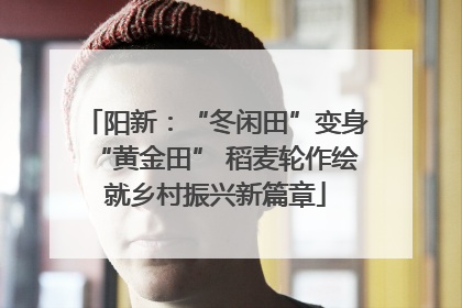 阳新：“冬闲田”变身“黄金田” 稻麦轮作绘就乡村振兴新篇章