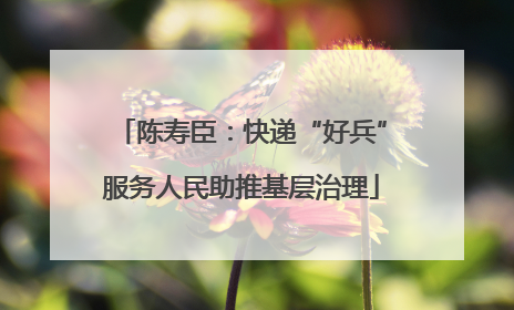 陈寿臣：快递“好兵”服务人民助推基层治理