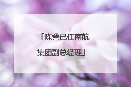 陈詟已任南航集团副总经理