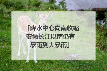 降水中心向南收缩 安徽长江以南仍有暴雨到大暴雨