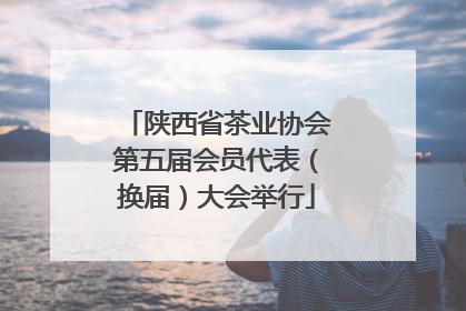 陕西省茶业协会第五届会员代表（换届）大会举行