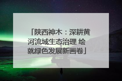 陕西神木：深耕黄河流域生态治理 绘就绿色发展新画卷