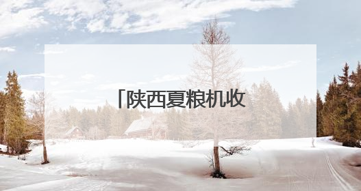 陕西夏粮机收作业陆续展开