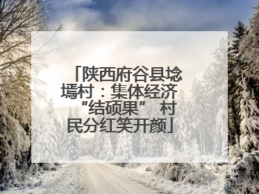 陕西府谷县埝墕村：集体经济“结硕果” 村民分红笑开颜