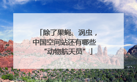 除了果蝇、涡虫，中国空间站还有哪些“动物航天员”