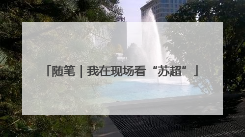 随笔｜我在现场看“苏超”