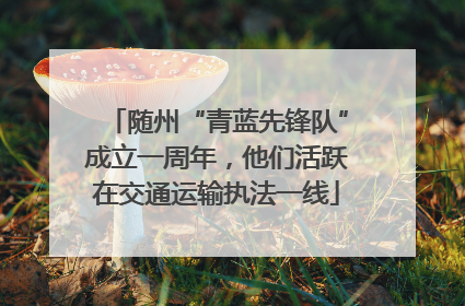 随州“青蓝先锋队”成立一周年，他们活跃在交通运输执法一线