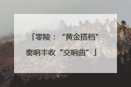 零陵：“黄金搭档”奏响丰收“交响曲”