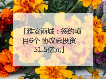 雅安雨城：签约项目6个 协议总投资51.5亿元