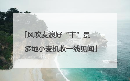 风吹麦浪好“丰”景——多地小麦机收一线见闻