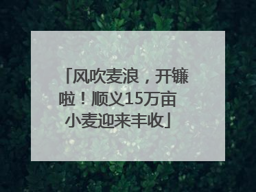 风吹麦浪，开镰啦！顺义15万亩小麦迎来丰收