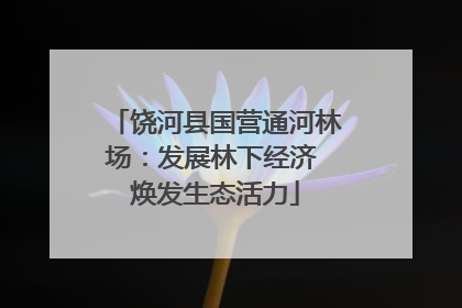 饶河县国营通河林场：发展林下经济 焕发生态活力