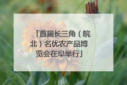 首届长三角（皖北）名优农产品博览会在阜举行
