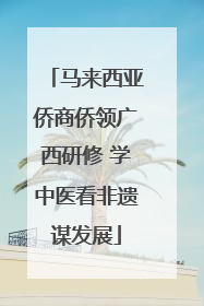 马来西亚侨商侨领广西研修 学中医看非遗谋发展