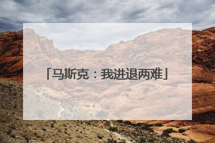 马斯克：我进退两难