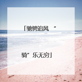 驰骋追风 “骑”乐无穷