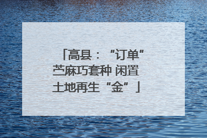 高县：“订单”苎麻巧套种 闲置土地再生“金”