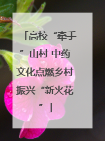 高校“牵手”山村 中药文化点燃乡村振兴“新火花”